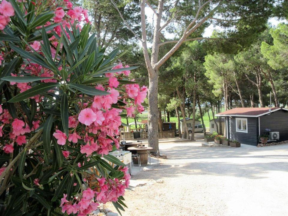 Camping Le Bois De Pins Salses-le-Château Exterior foto